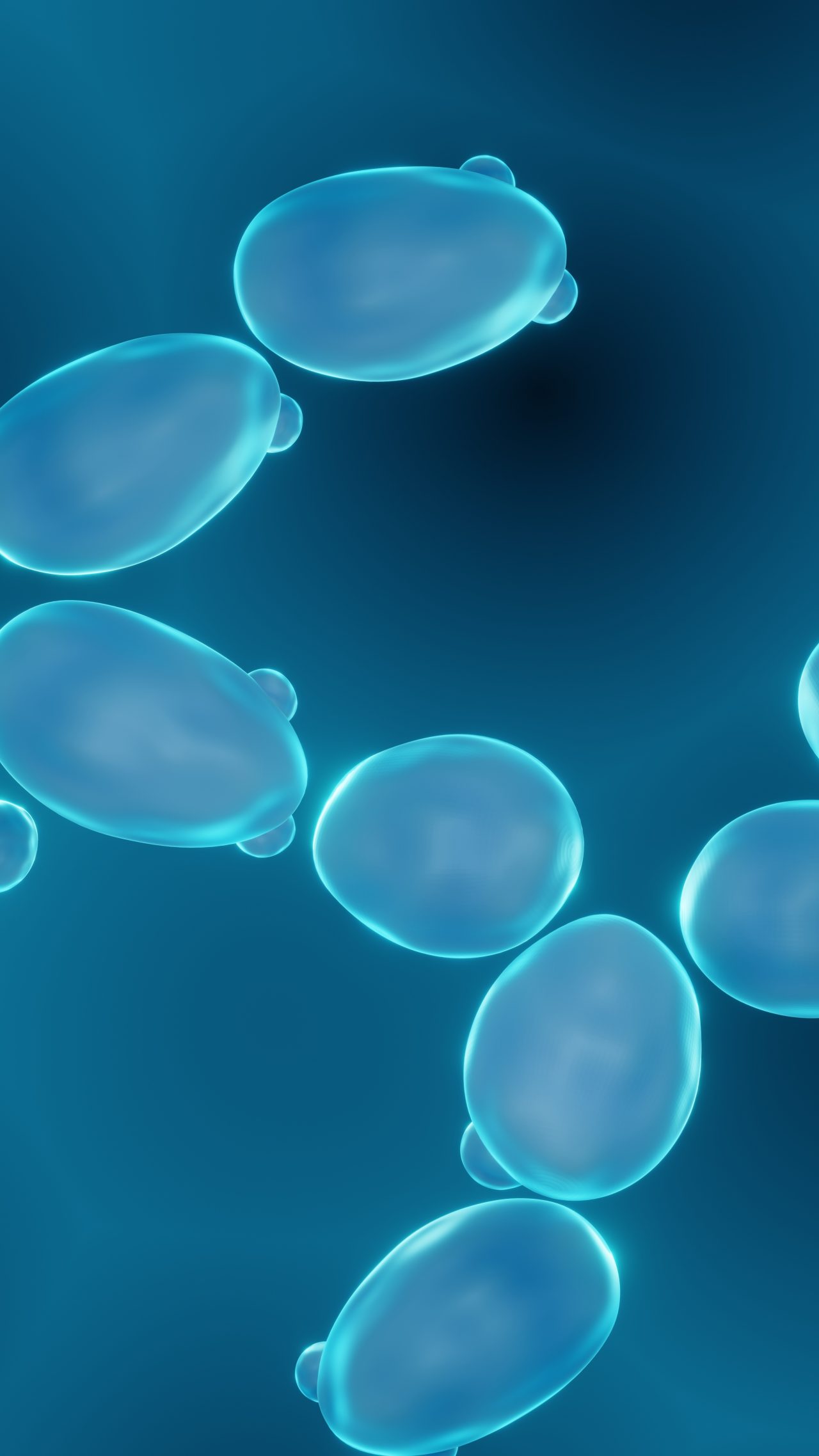 Sojitz SOLVADIS – we do chemistry.