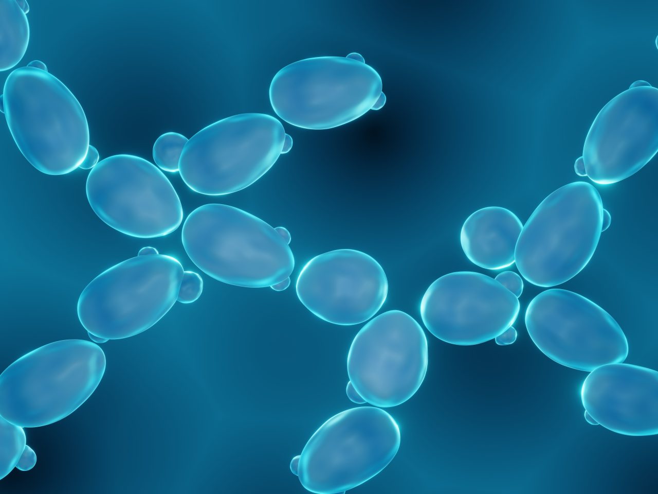 Sojitz SOLVADIS – we do chemistry.