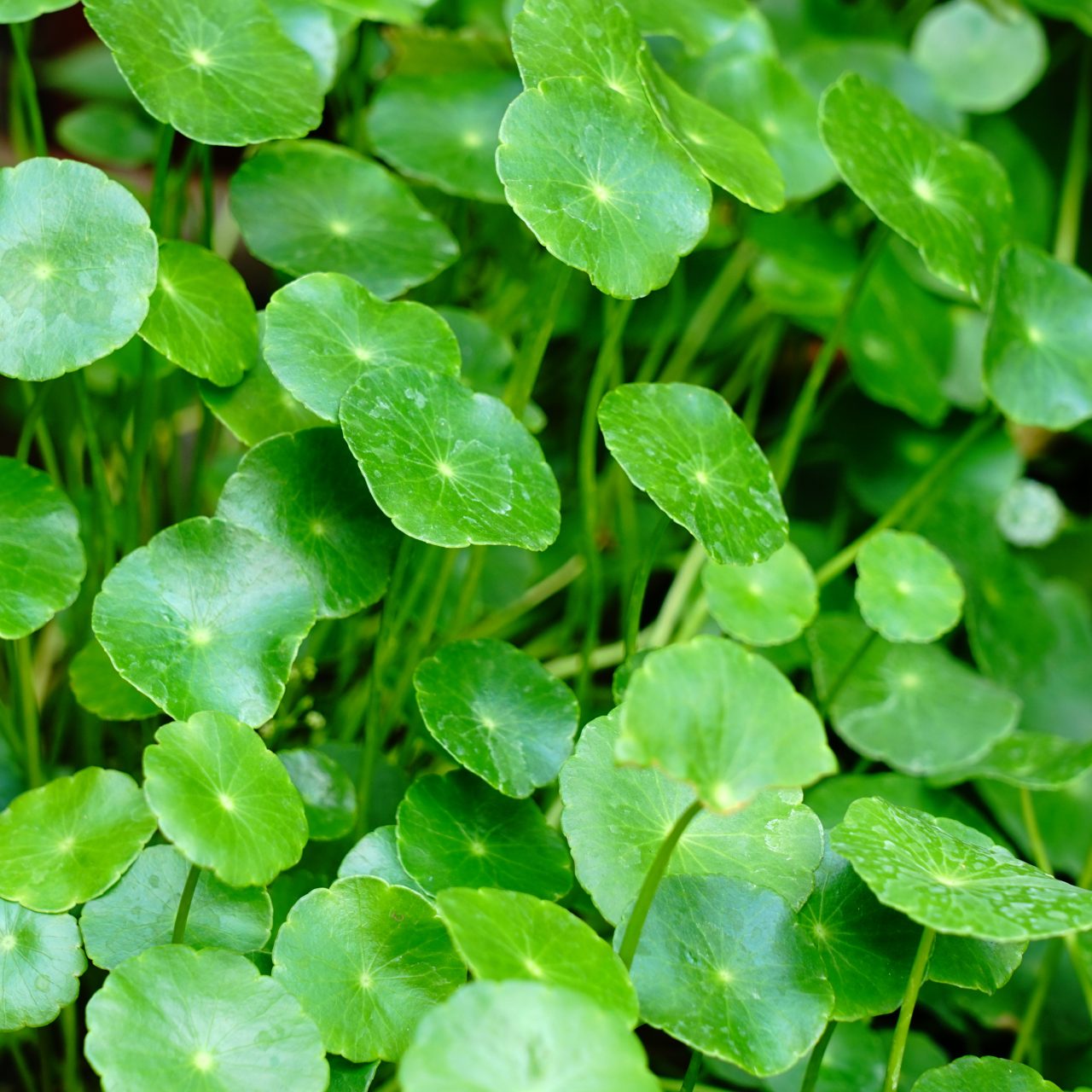 Sojitz Solvadis – we do chemistry.