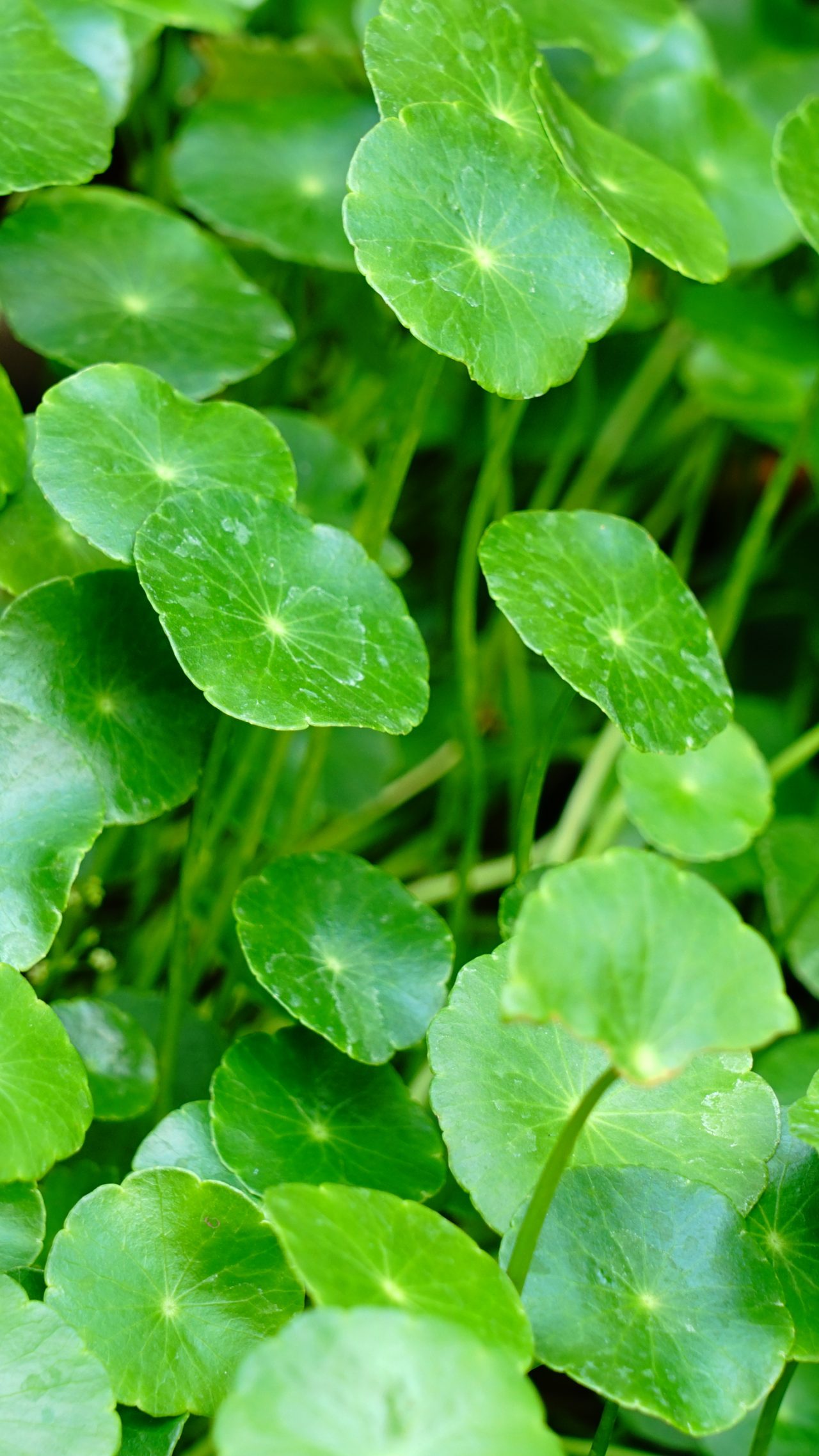 Sojitz Solvadis – we do chemistry.