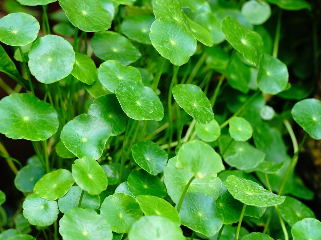 Sojitz Solvadis – we do chemistry.