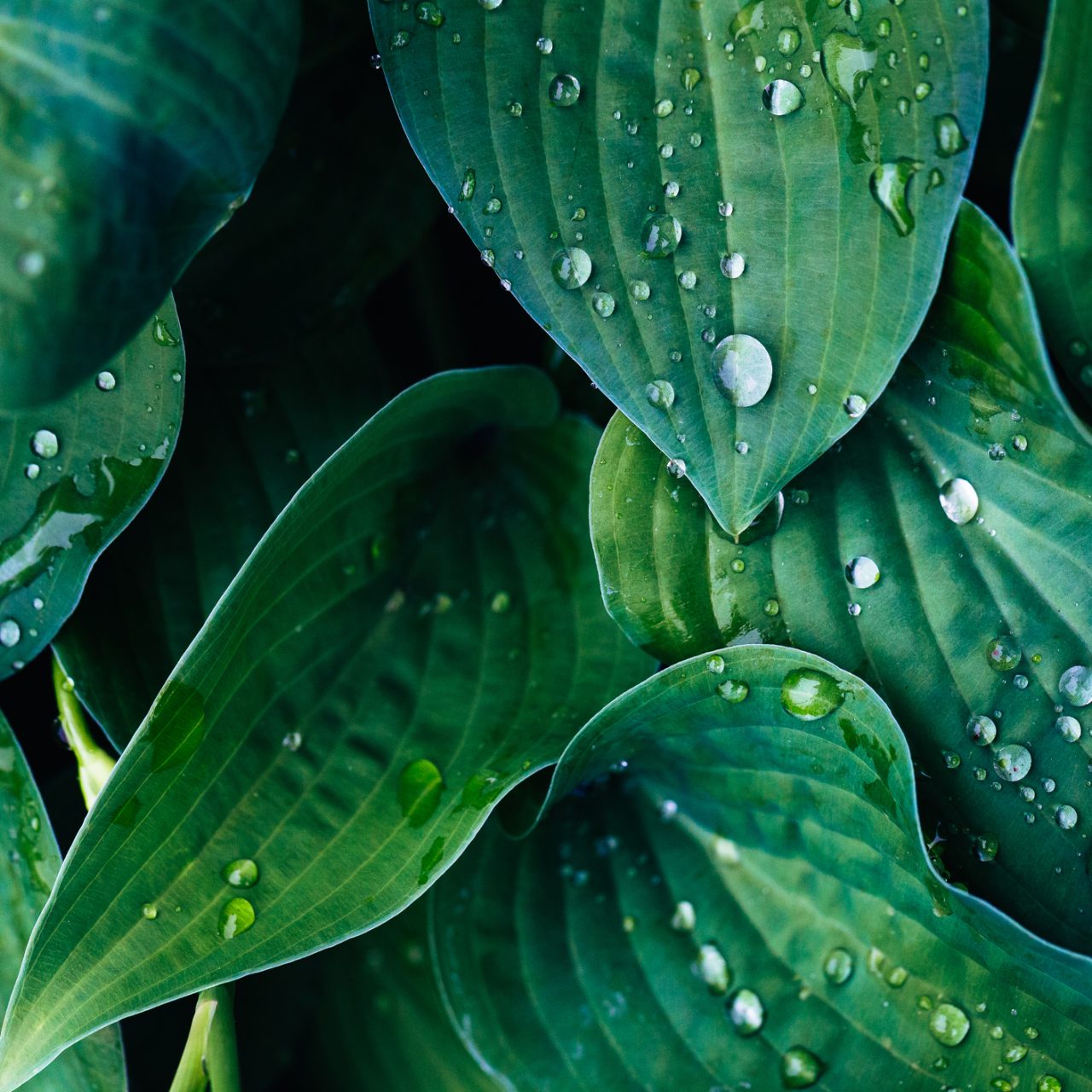 Sojitz Solvadis – we do chemistry.