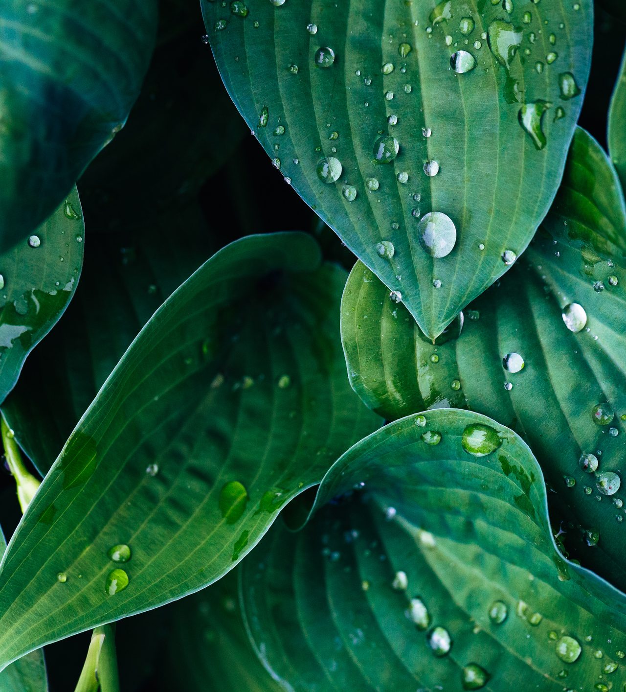 Sojitz Solvadis – we do chemistry.