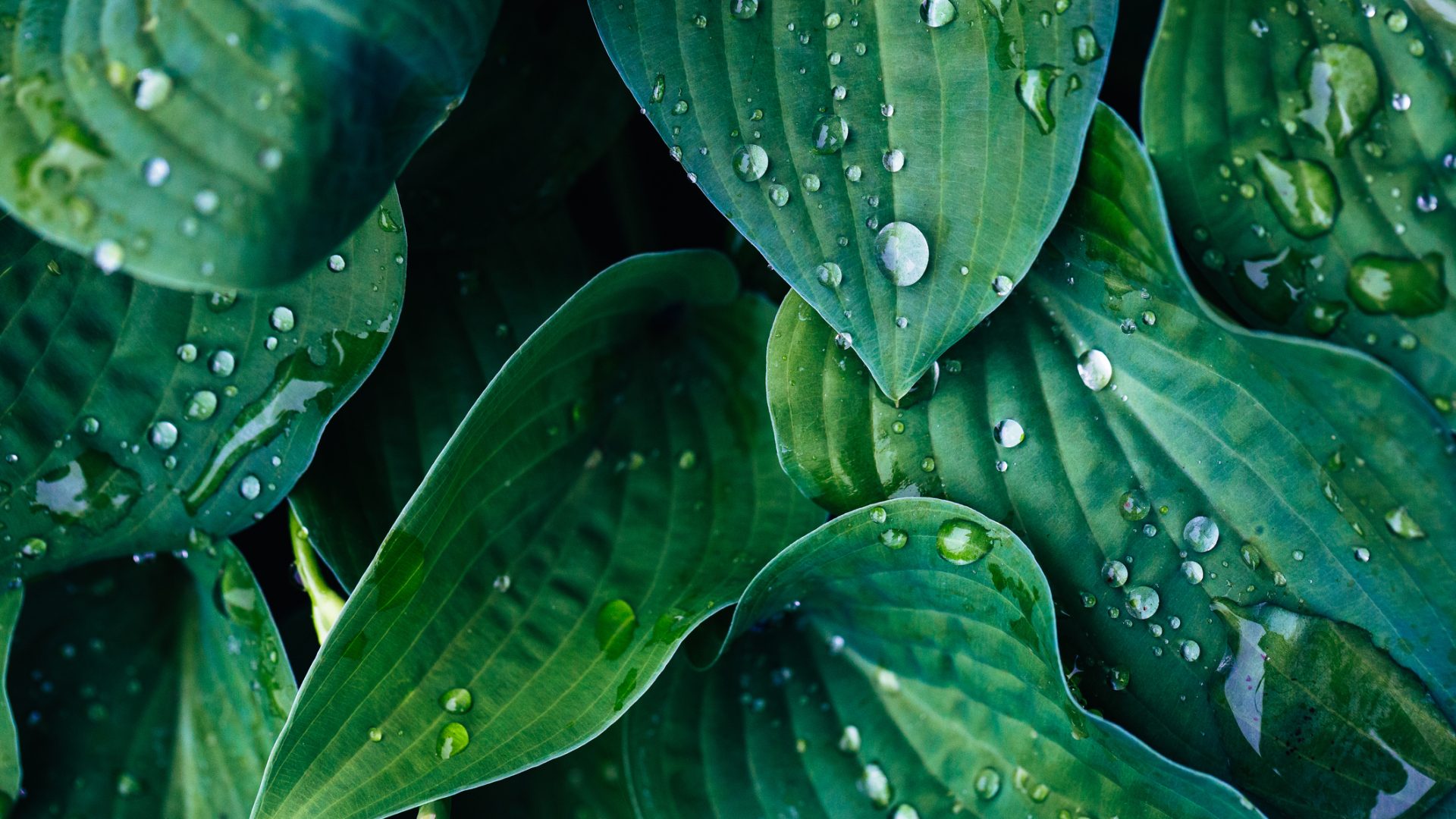 Sojitz Solvadis – we do chemistry.