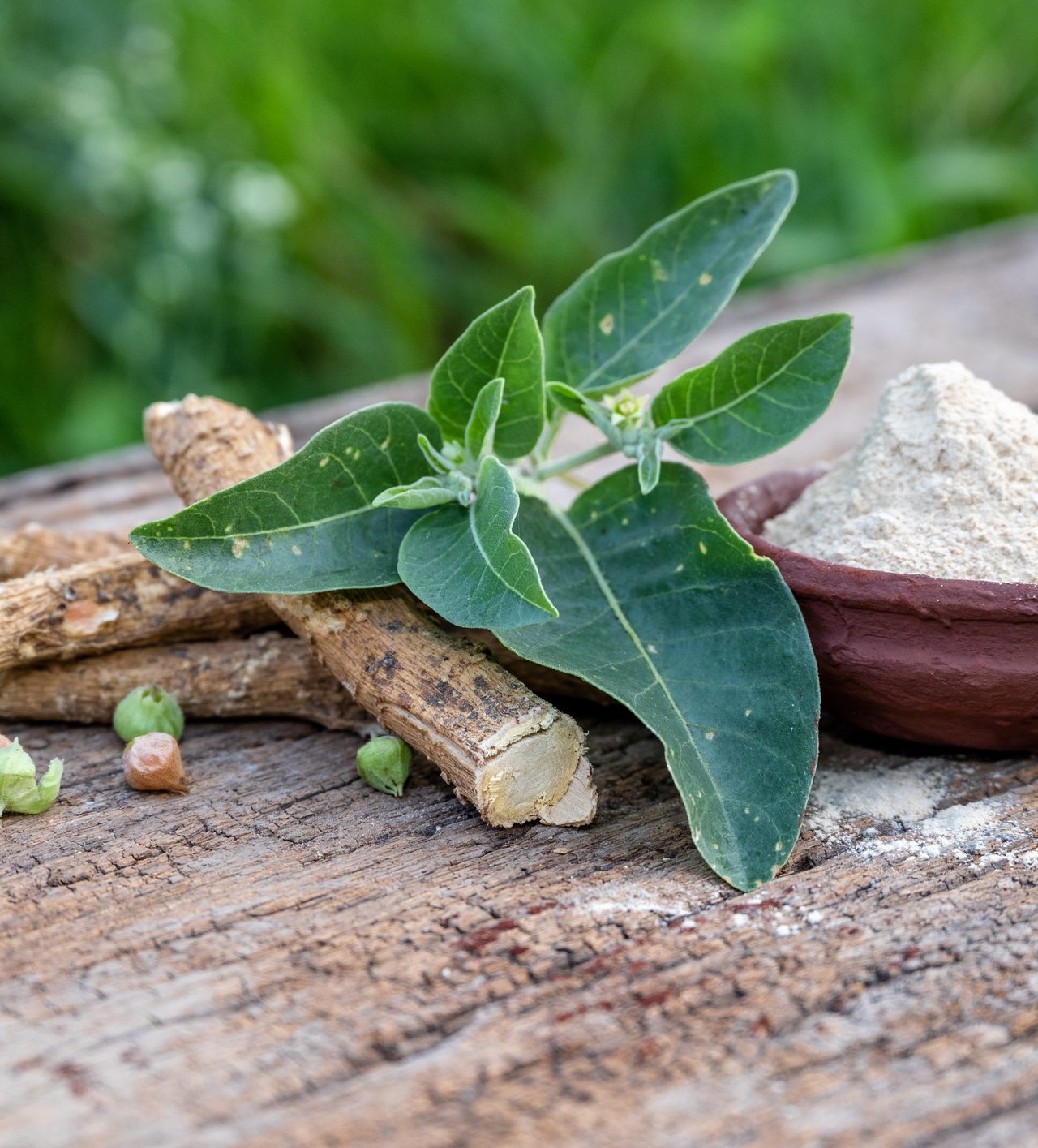 Sojitz Solvadis – we do chemistry.