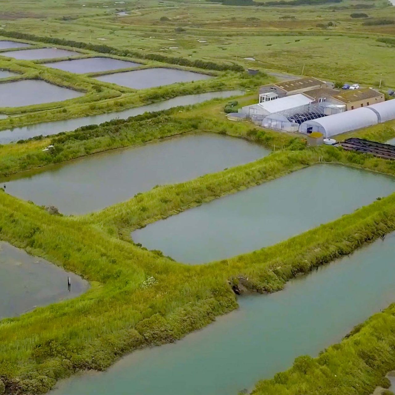 Sojitz SOLVADIS – we do chemistry.