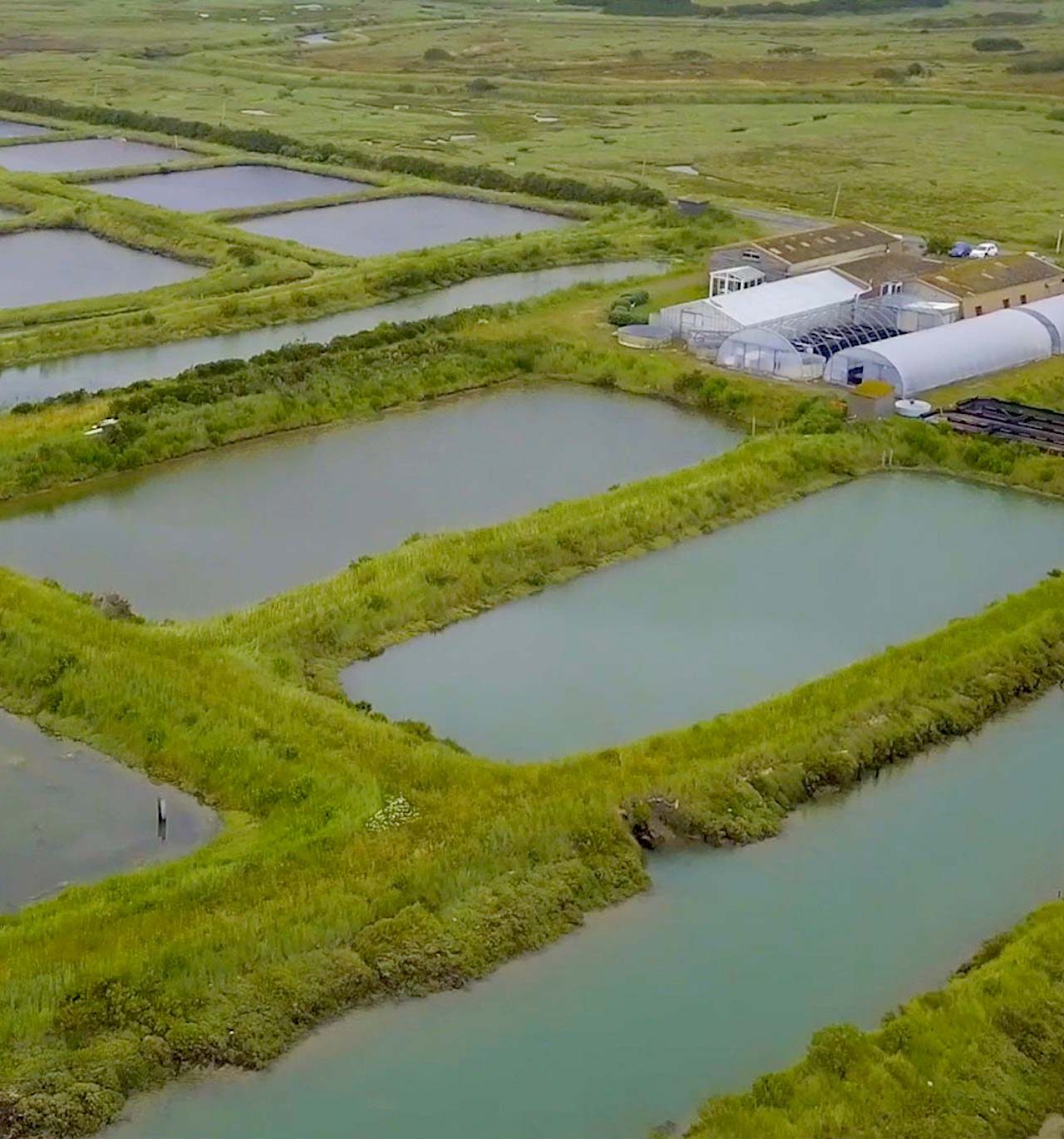 Sojitz SOLVADIS – we do chemistry.