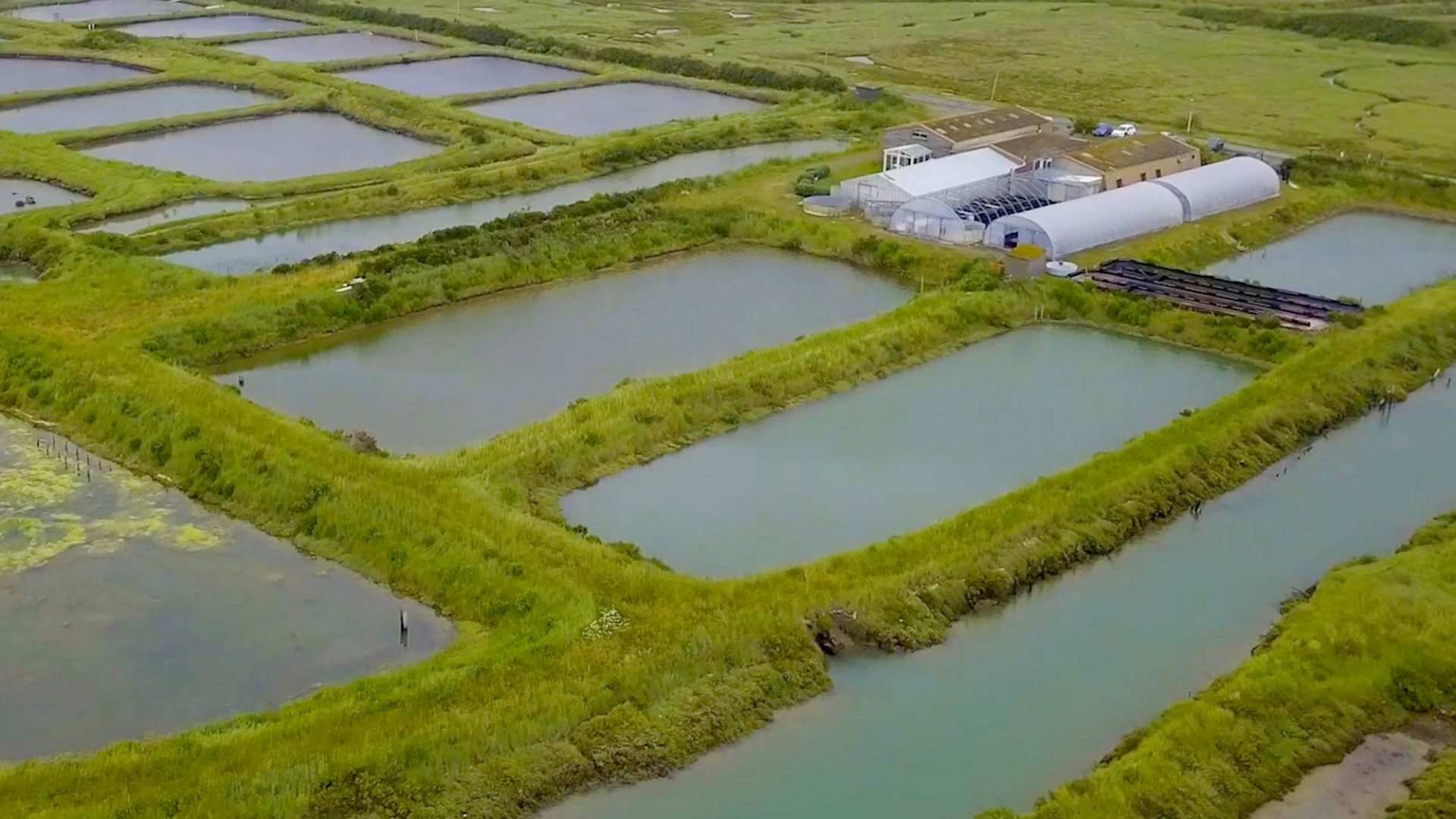 Sojitz SOLVADIS – we do chemistry.