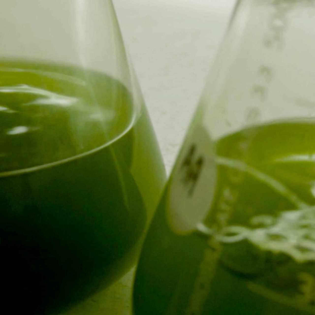 Sojitz SOLVADIS – we do chemistry.