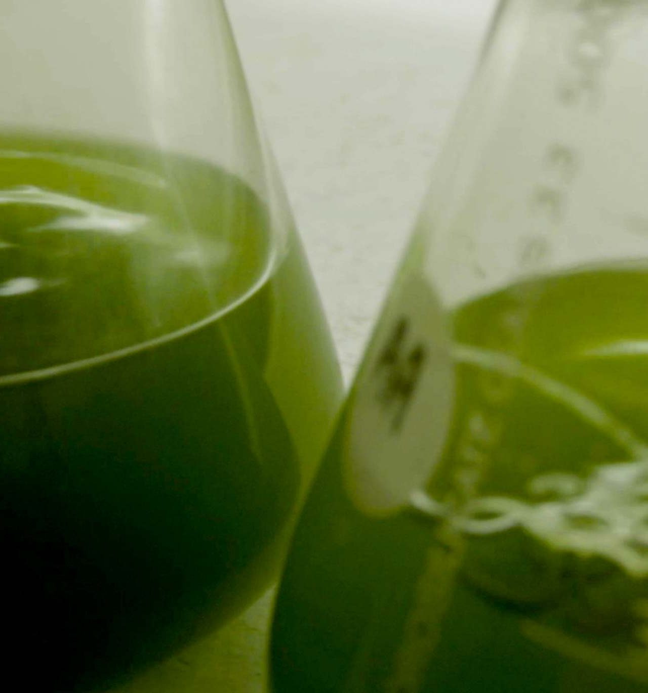 Sojitz SOLVADIS – we do chemistry.