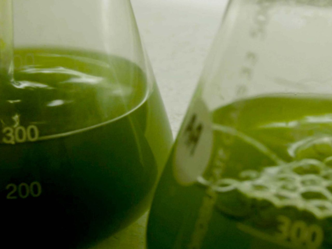 Sojitz SOLVADIS – we do chemistry.