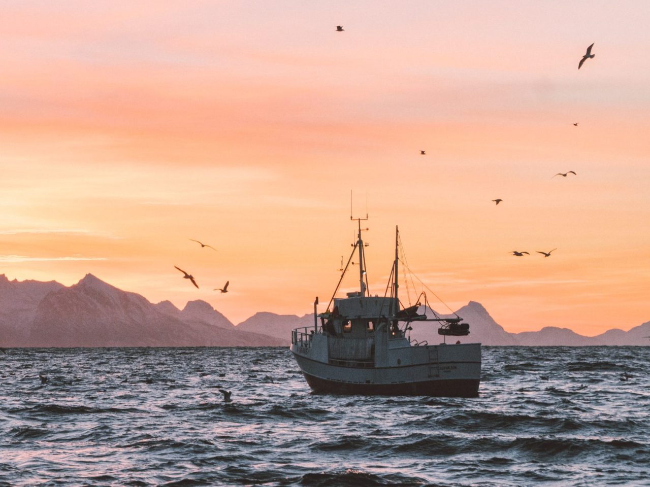 Sojitz Solvadis – we do chemistry.