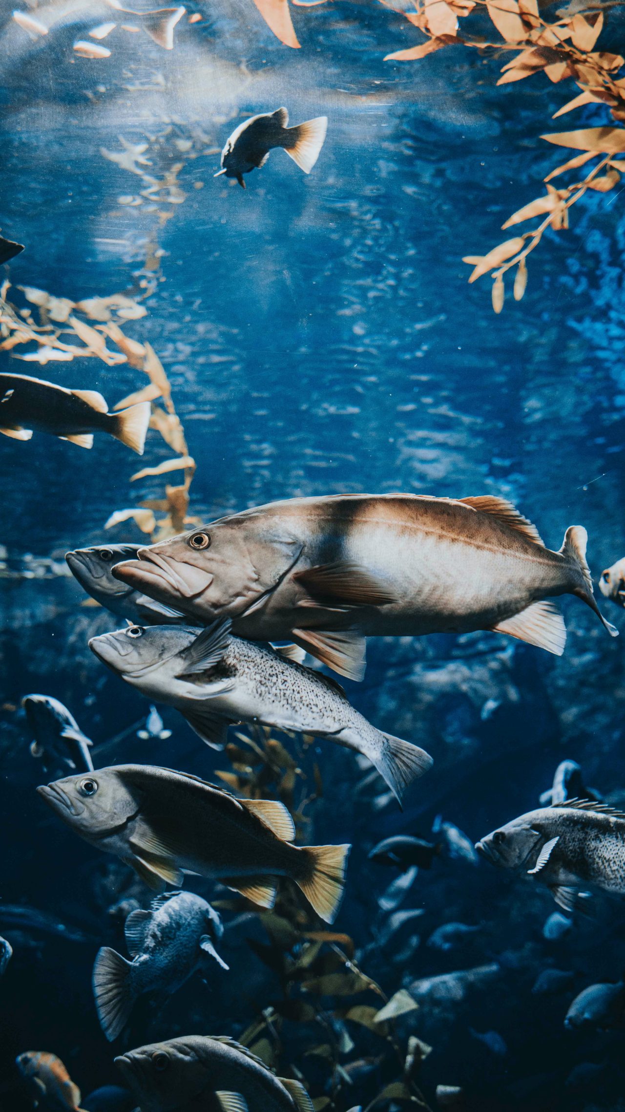 Sojitz Solvadis – we do chemistry.