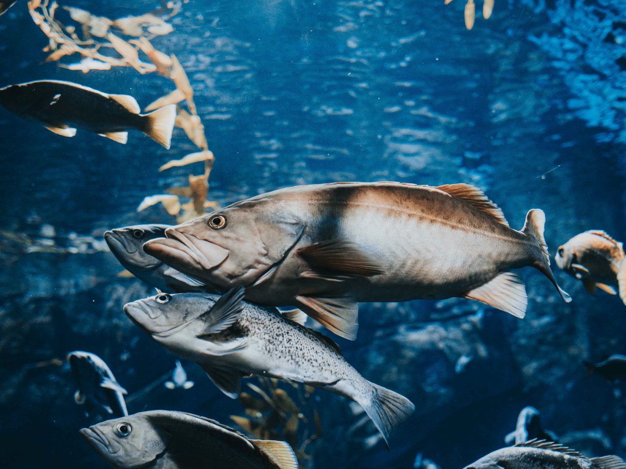 Sojitz Solvadis – we do chemistry.