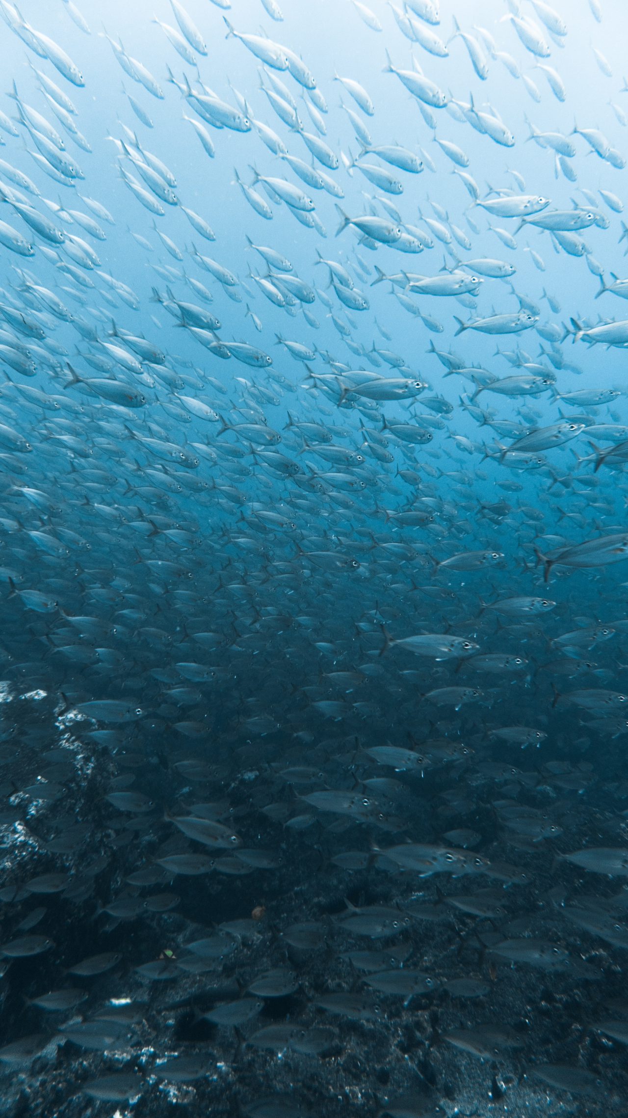 Sojitz Solvadis – we do chemistry.