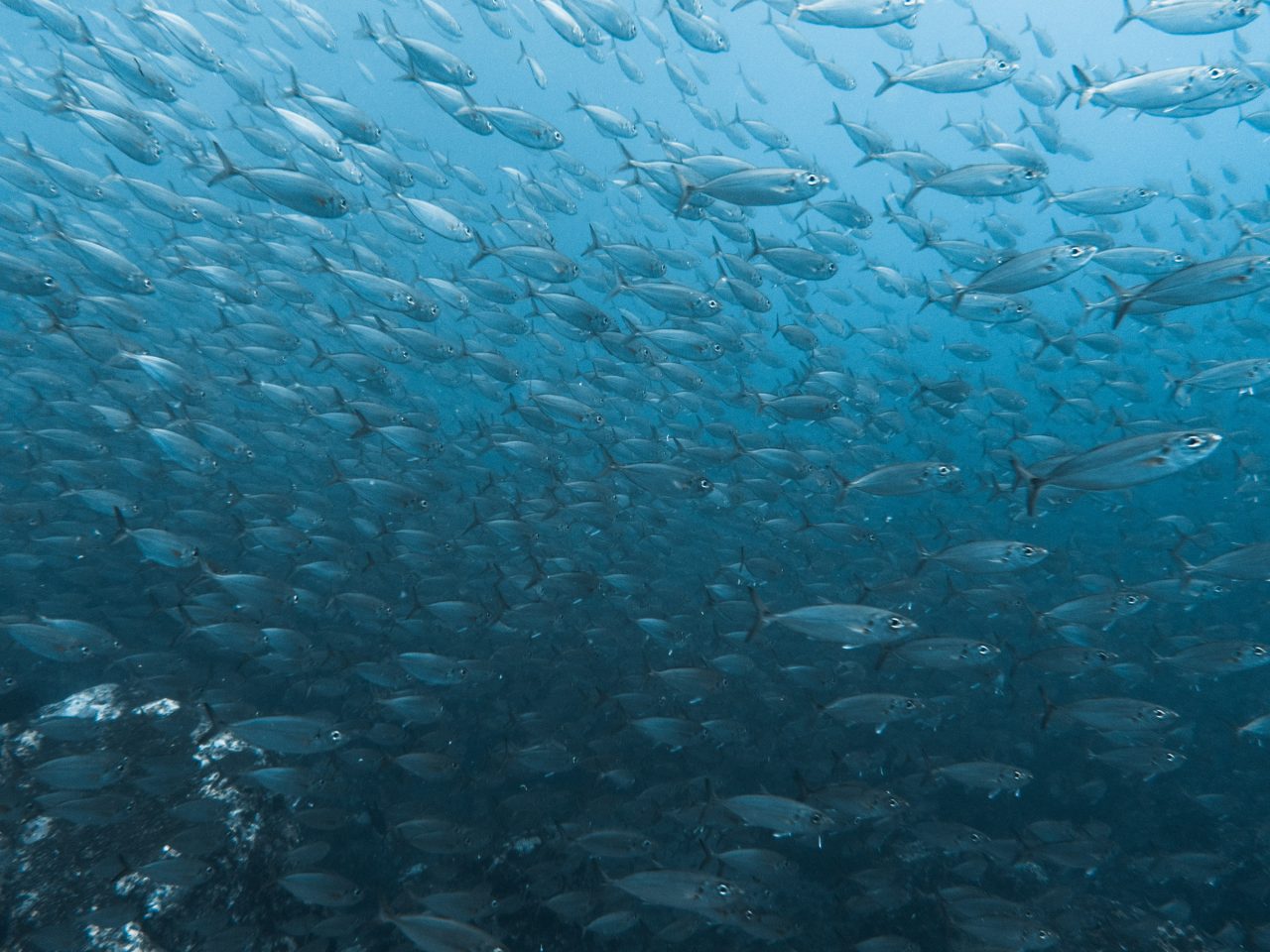 Sojitz Solvadis – we do chemistry.