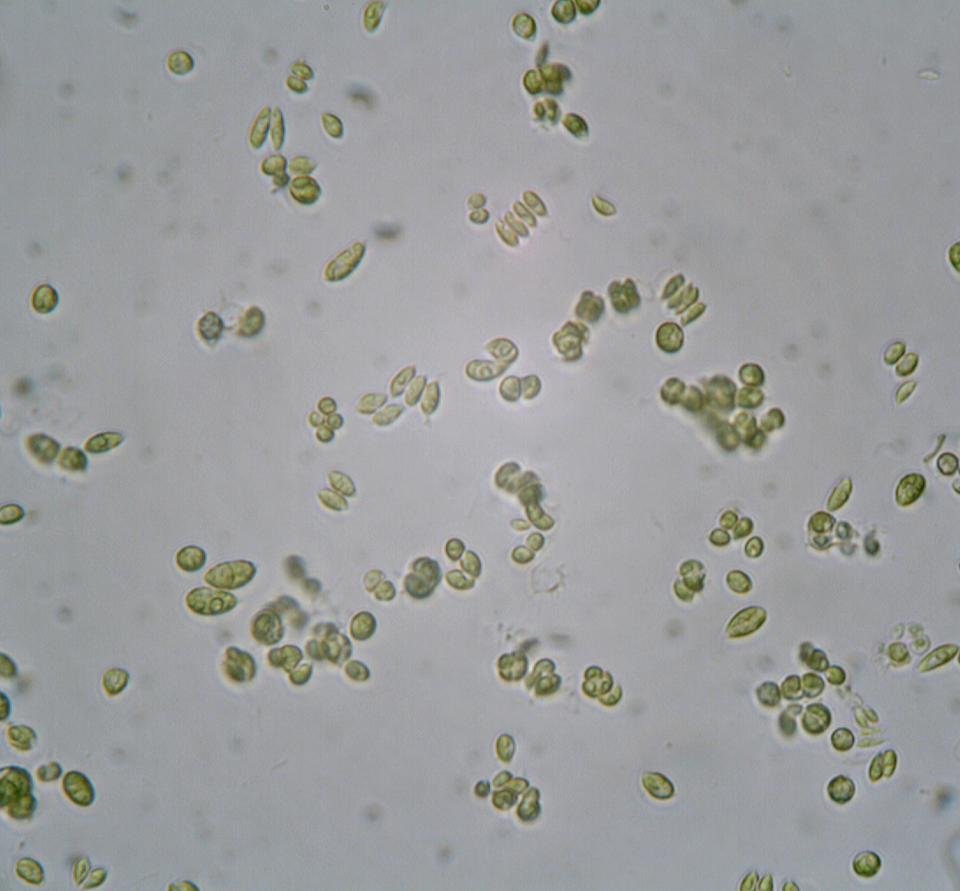 Sojitz SOLVADIS – we do chemistry.