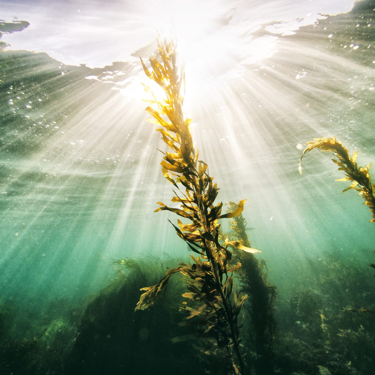 Sojitz Solvadis – we do chemistry.